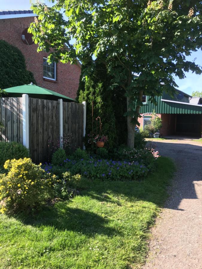 Ferienhaus Staben Eggstedt Екстериор снимка